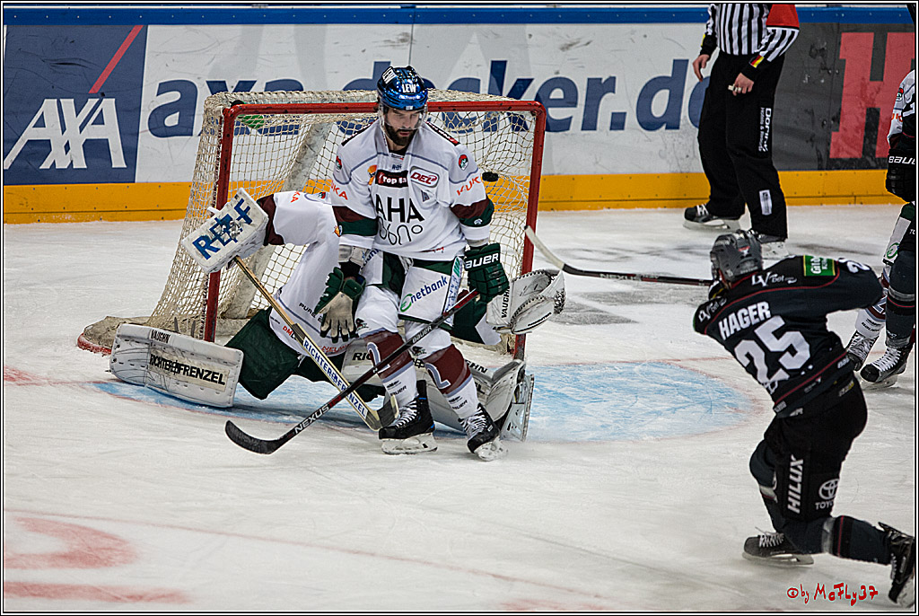 DEL, Koelner Haie - Augsburger Panther, 13.01.2017